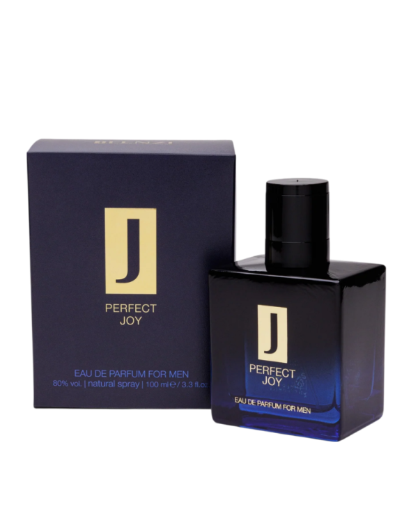 FENZI PERFECT JOY FOR MEN EDP 100ML